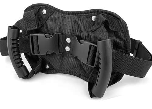 Cinturón de sujeción para copiloto de moto adulto GZjiyu