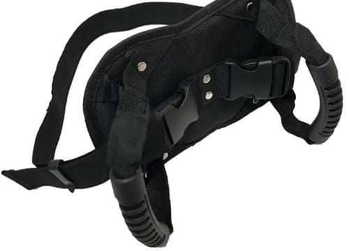 Cinturón de sujeción para copiloto de moto adulto courti