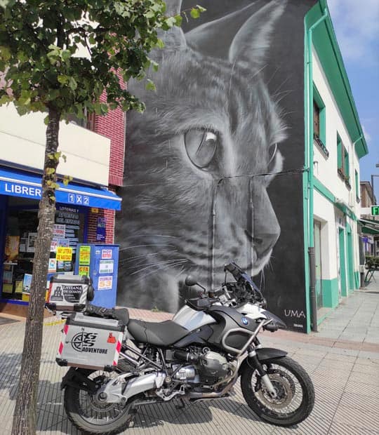 Uma EL GATO de Xolaka